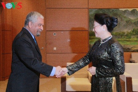 Parlamentspräsidentin Nguyen Thi Kim Ngan empfängt Vertreter von UNDP in Vietnam - ảnh 1